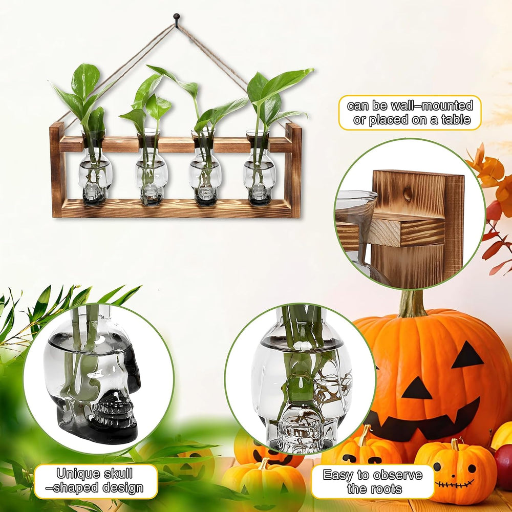 Plant Propagation Stations Halloween Skull Plant Terrarium Kit