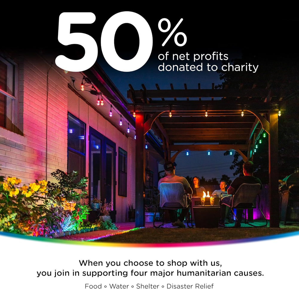 Enbrighten Vintage Outdoor String Lights, 48ft, 24 Bulbs, Remote Control