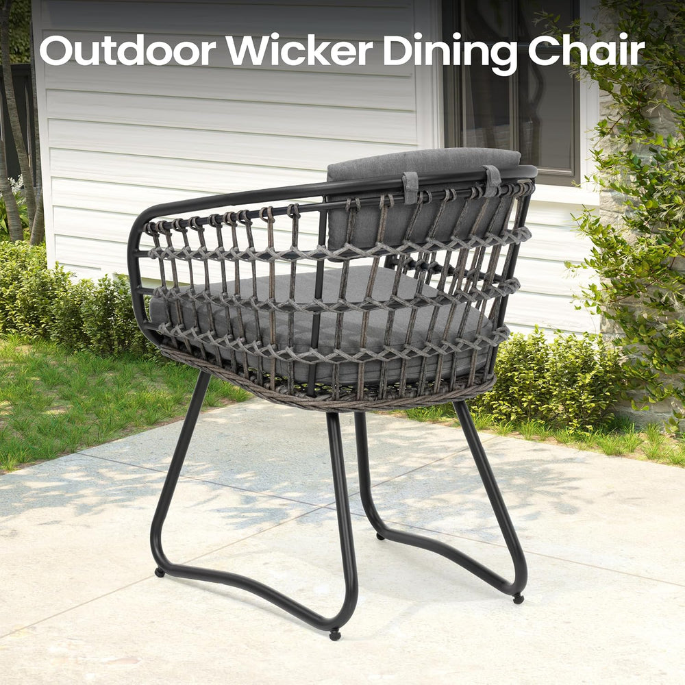 Pellebant 9 Piece Outdoor Dining Set for 8, Aluminum Table & Wicker Chairs