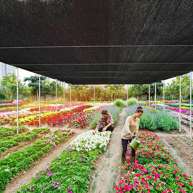 QLOFEI Shade Cloth for Patio, 80-90% Sunblock Sails for Garden Pergola Outdoo...