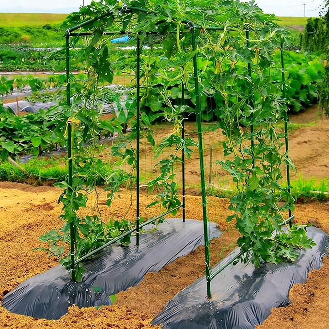Xiny Tool Garden Stakes, 15 Pack 8 FT Steel Plant Garden Tomato Stakes with P...